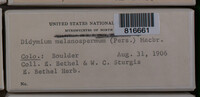 Image Associated With the Occurence